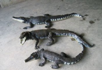 庭院玻璃鋼鱷魚雕塑 城市古銅色雕塑 動物小品