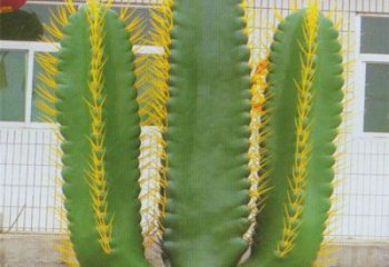 涪陵庭院仙人掌雕塑